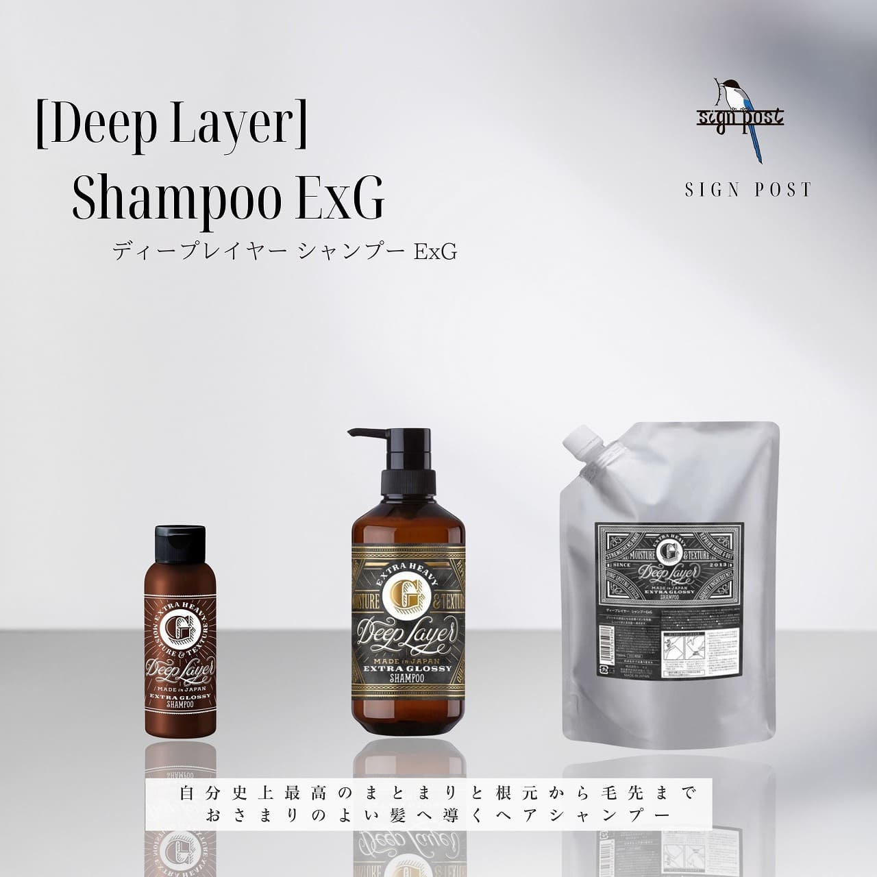 【Deep Layer(ディープレイヤー)】シャンプー ExG