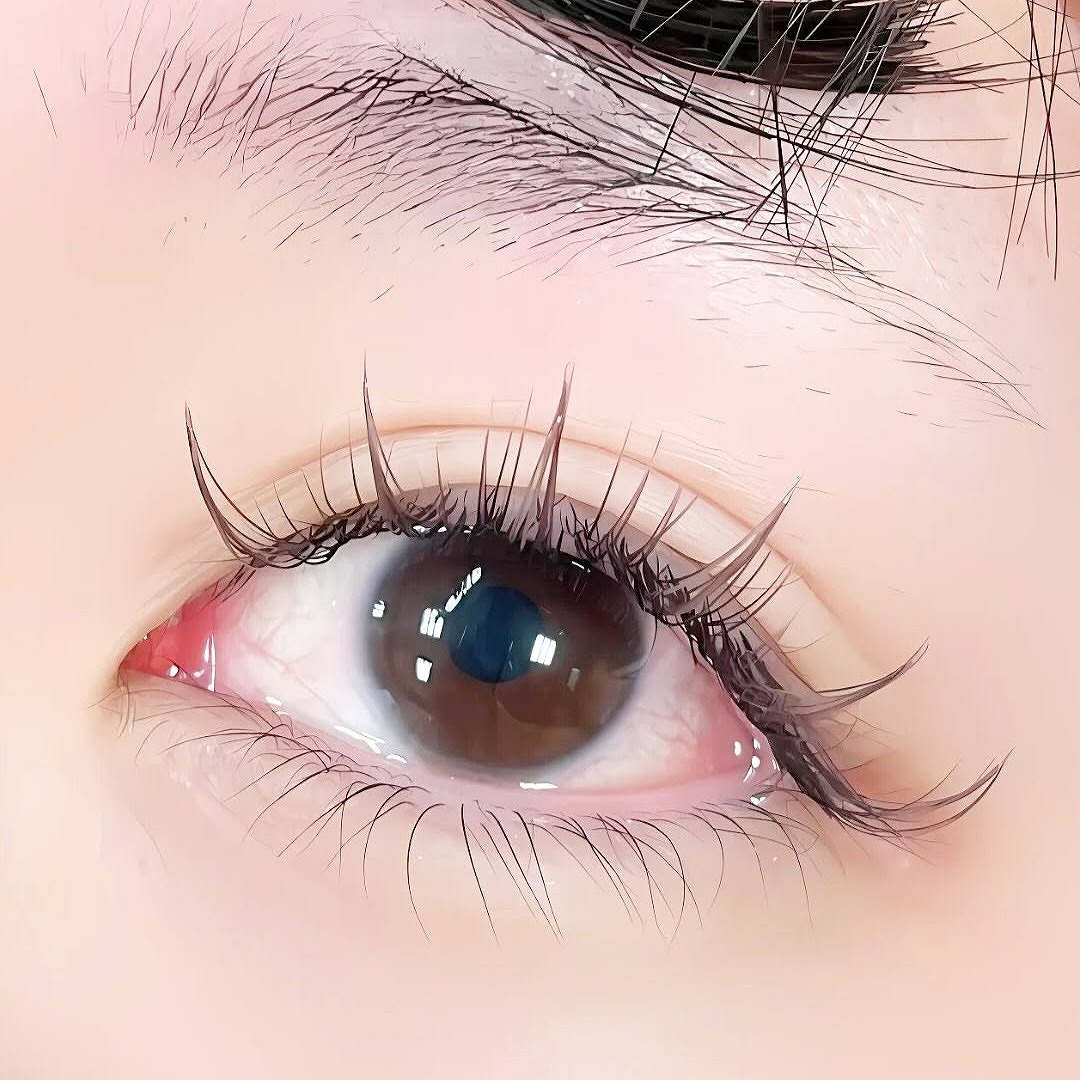 目力をしっかり出したい方向けのマツエク施術例