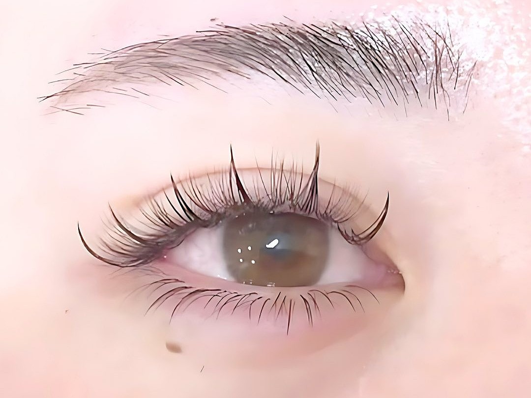 上下マツエクのナチュラルデザイン例｜下まつげ少なめで自然に縦幅を出す仕上がり