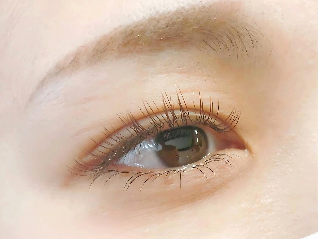 上下マツエクのやわらかいデザイン例｜派手すぎず整った印象に仕上げたい方向け