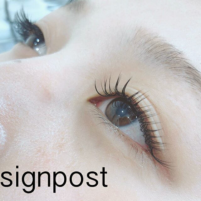 ミンクエクステ デザインカタログ 株式会社a Round Match