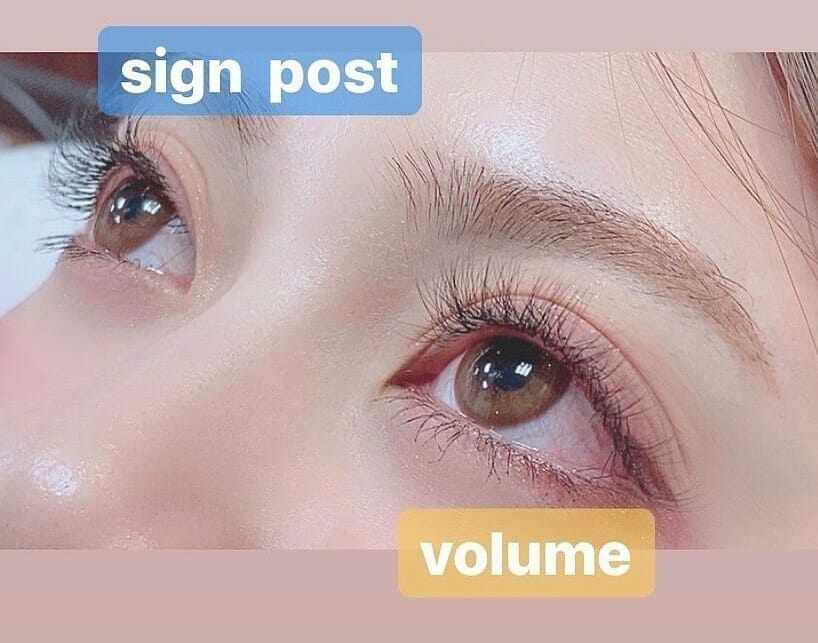 マツエク ナチュラルデザイン 人気10作品のレシピ紹介