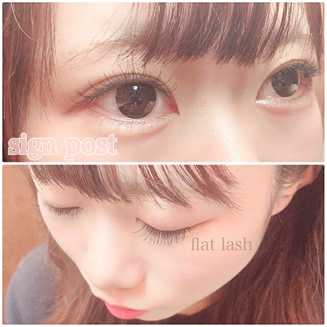 フラットラッシュ 100本 人気デザインカタログ 株式会社a Round Match